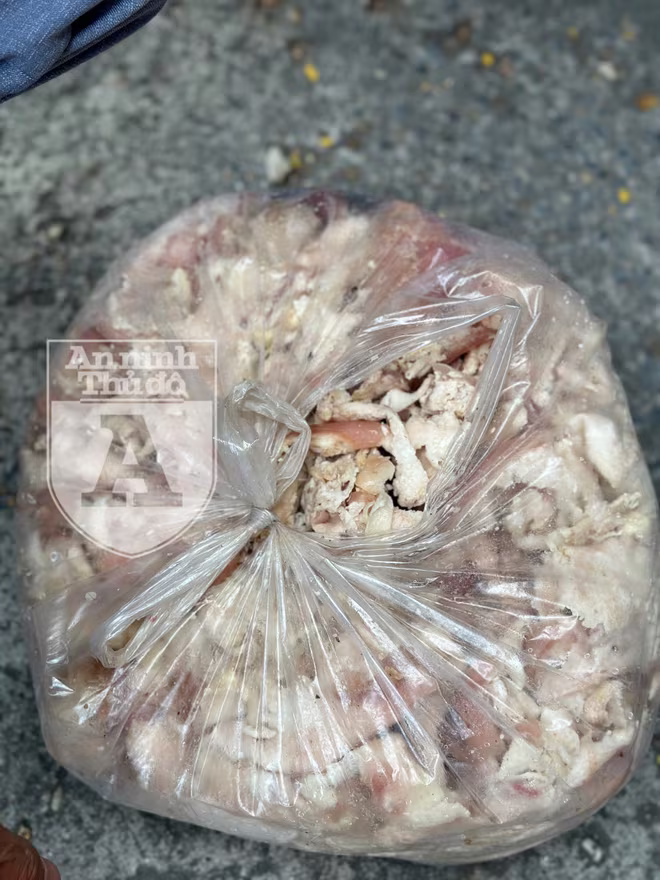 Mỡ lợn được đóng túi ni lông không có bảo quản, đang trong quá trình phân hủy Mỡ lợn được đóng túi ni lông không có bảo quản, đang trong quá trình phân hủy