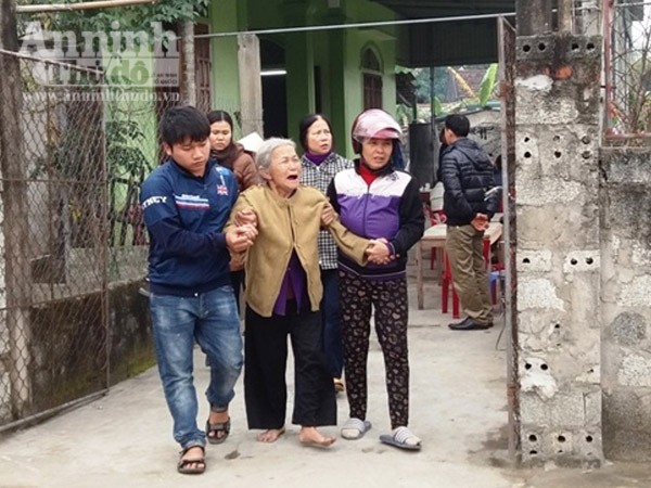 Đi cày, người đàn ông bị trâu nhà húc chết ảnh 1 Đi cày, người đàn ông bị trâu nhà húc chết ảnh 1