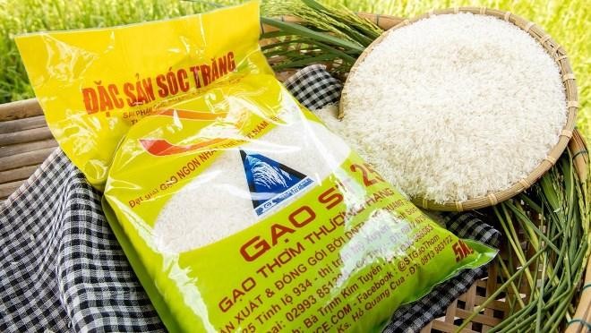 Gạo Việt Nam xuất khẩu bị “mất tên” ở nhiều nước | Báo điện