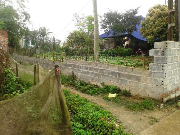 Chấn động, nữ sinh 17 tuổi bị sát hại dã man với 55 nhát chém trên người ảnh 2 Chấn động, nữ sinh 17 tuổi bị sát hại dã man với 55 nhát chém trên người ảnh 2