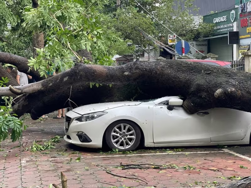 Số tiền bảo hiểm chi trả bồi thường cho các thiệt hại do bão số 3 và lũ lụt không ngừng tăng