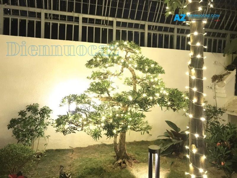 Đèn trang trí cây: Thắp sáng vẻ đẹp tự nhiên