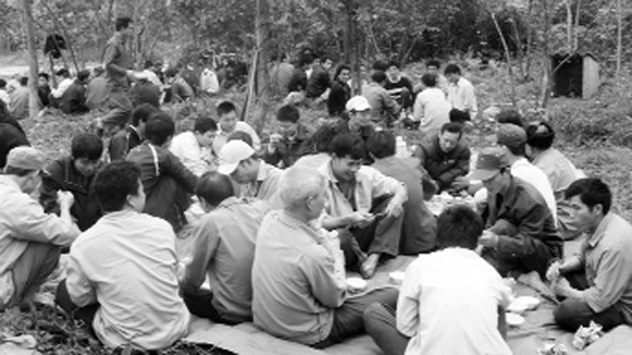 Lời nguyền của “rừng Chết” ảnh 2 Lời nguyền của “rừng Chết” ảnh 2