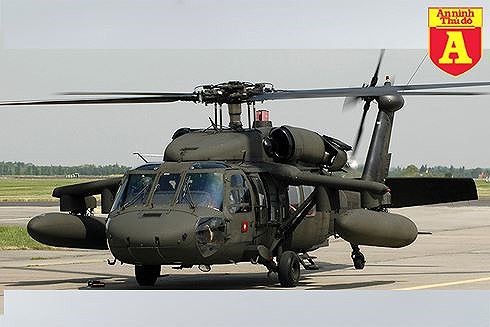 ảnh 12